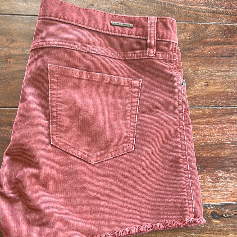 Rustic Denim Shorts NEW